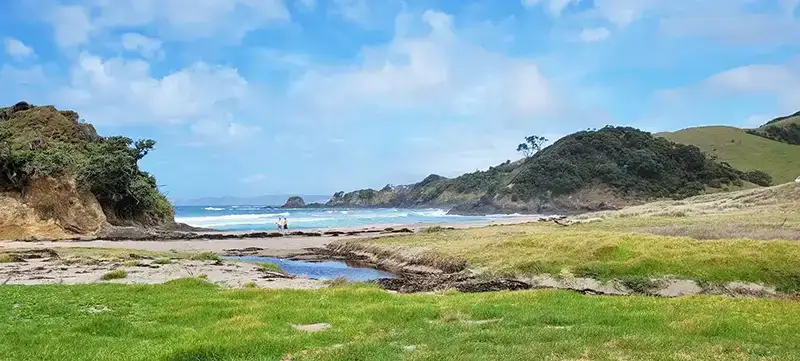 Elliot Bay Northland