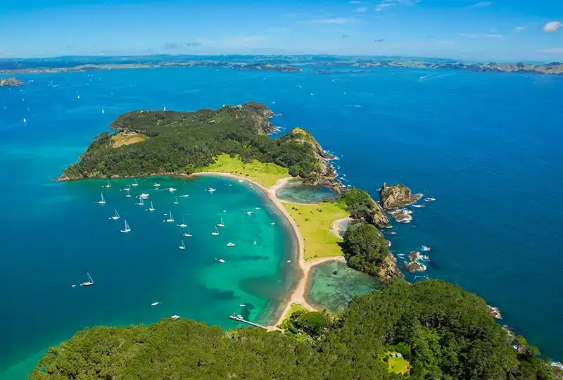 Roberton Island, Northland