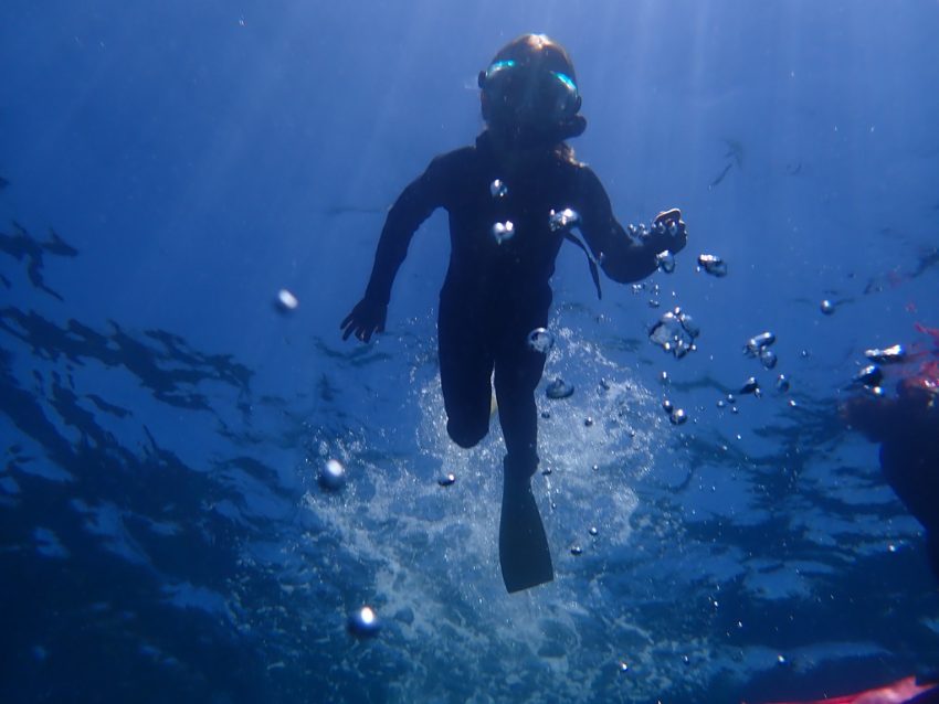 Bay of Islands Snorkelling 1 850x638