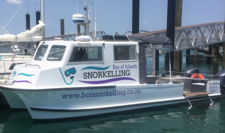 Bay of Islands Snorkelling