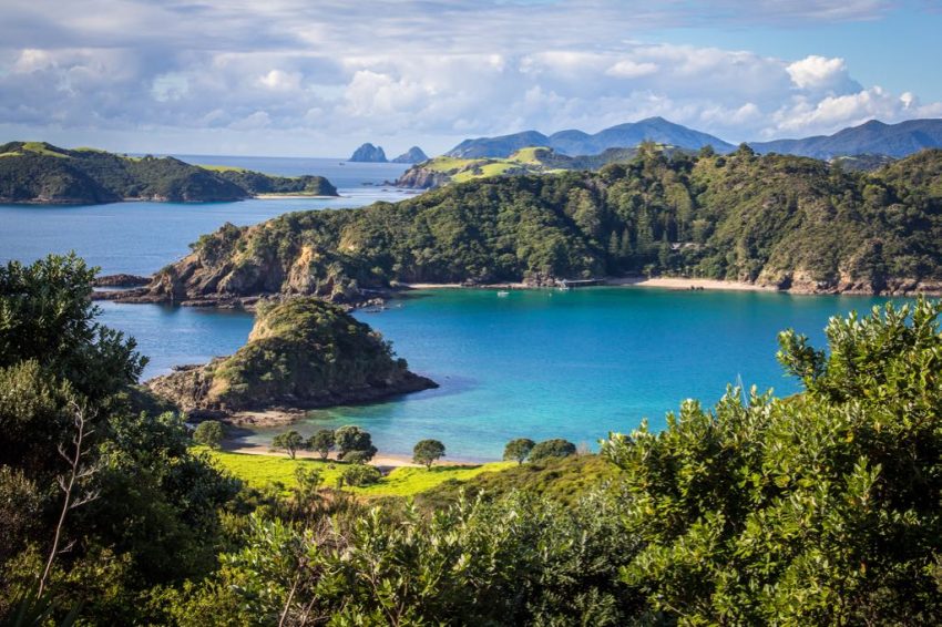 Bay of Islands Water Taxi 1 850x566