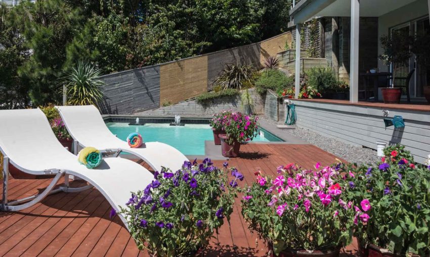 Decks of Paihia 1 850x509
