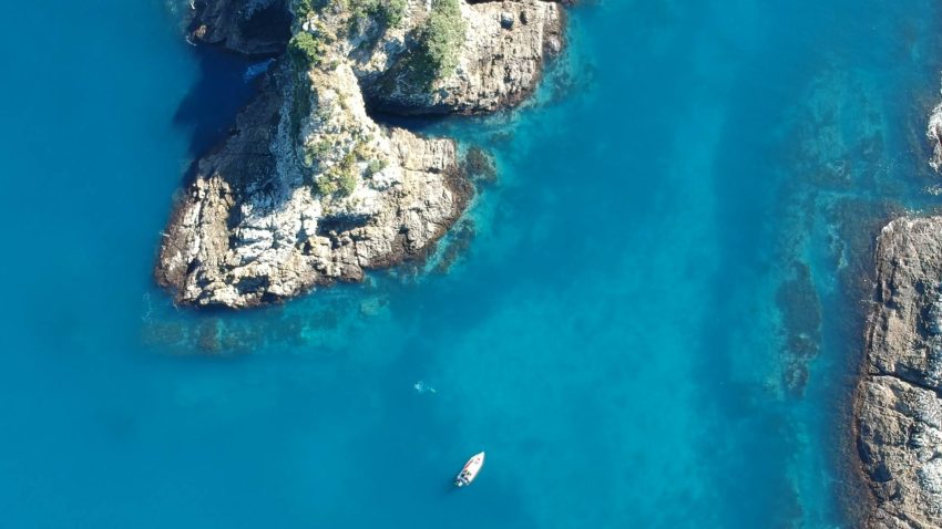 Dive Zone Bay of Islands 1 850x478