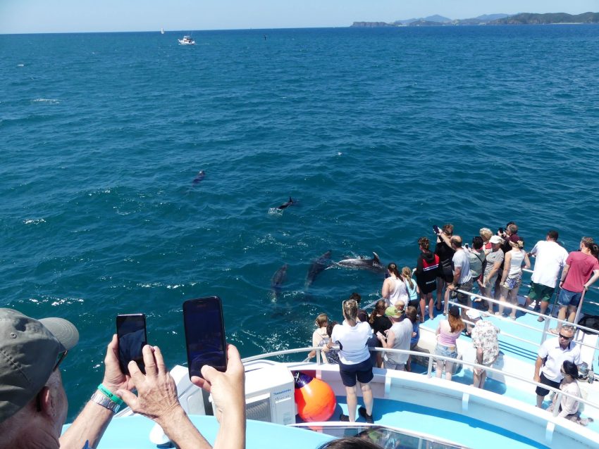 Fullers Bay of Islands 850x638