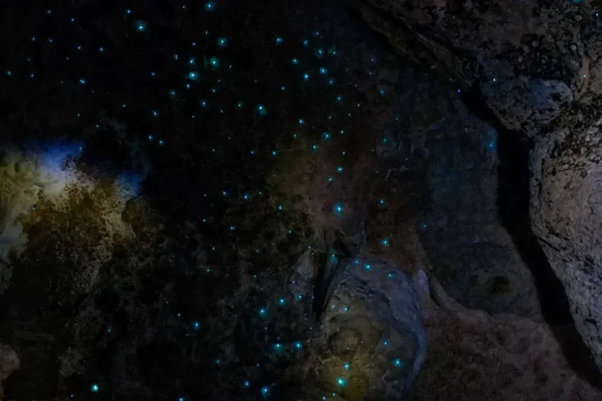 Kawiti Glowworm Caves 1 850x566