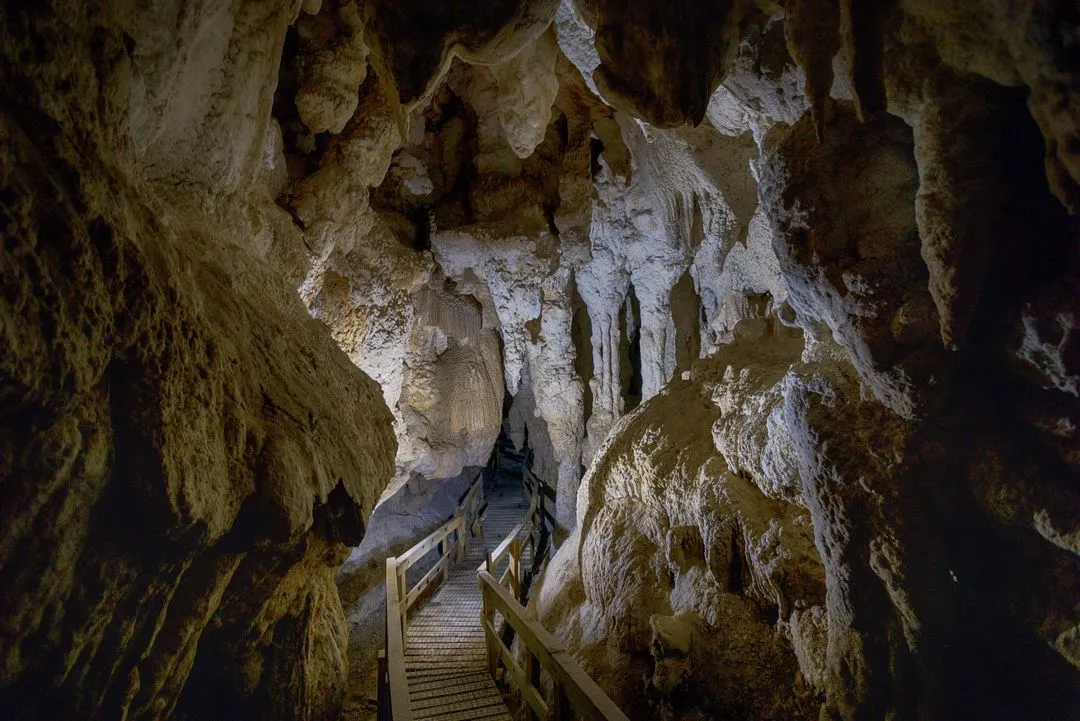 Kawiti Glowworm Caves