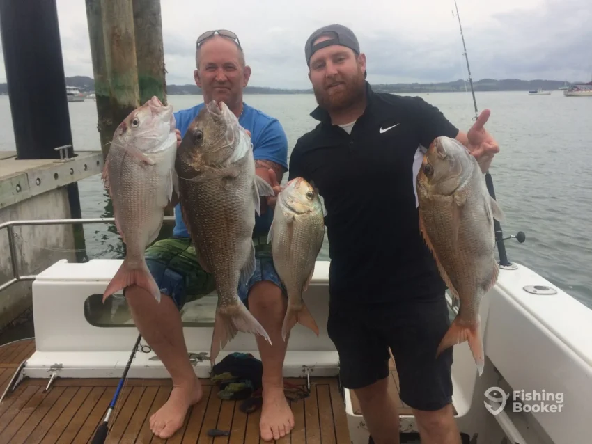 Snapper caught on Get Reel