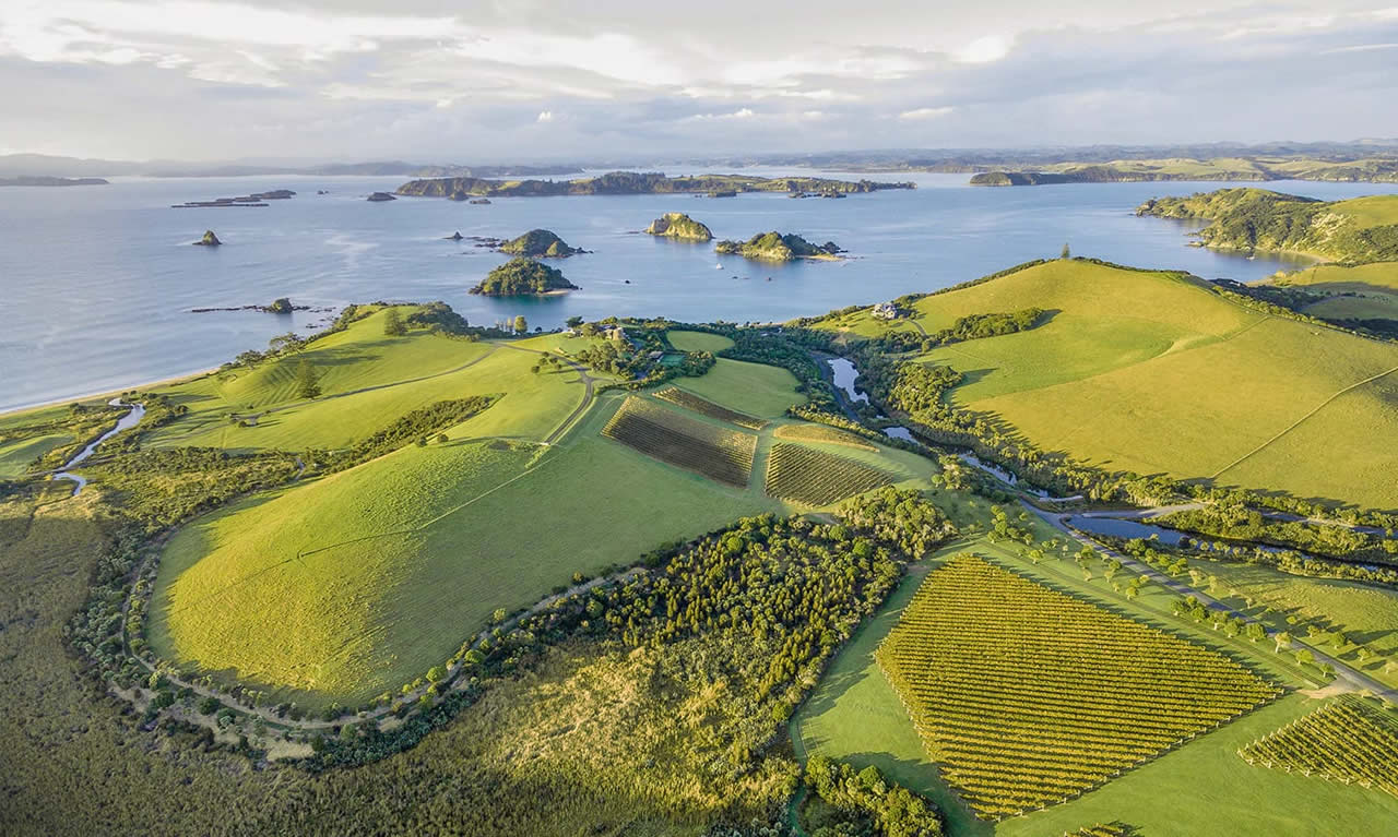 The Landing Vineyard Winery 1 1