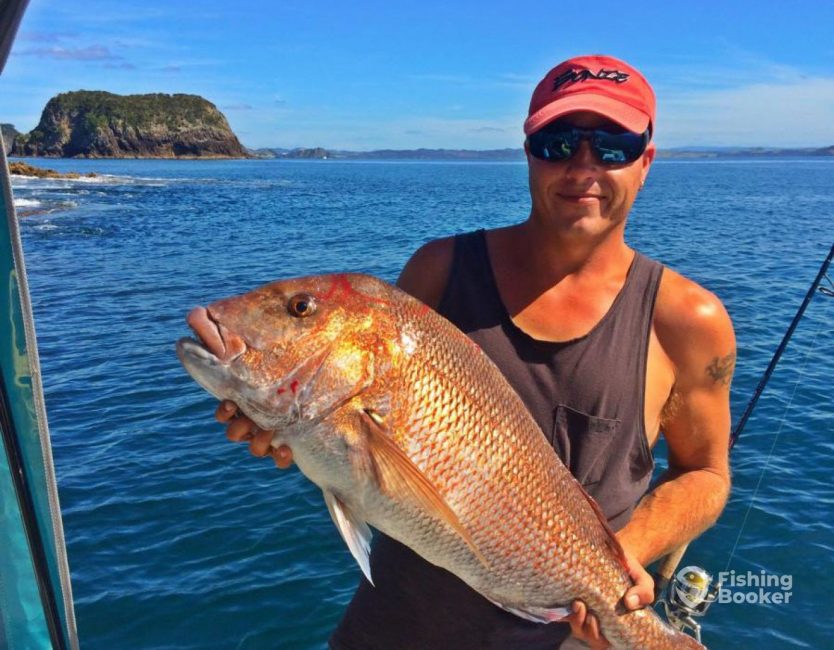 Big Fish Bay of Islands 1 834x650