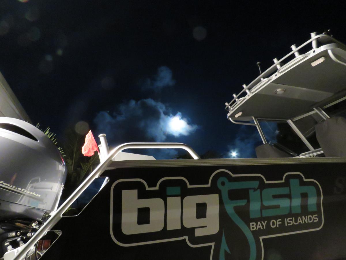 Big Fish Bay of Islands