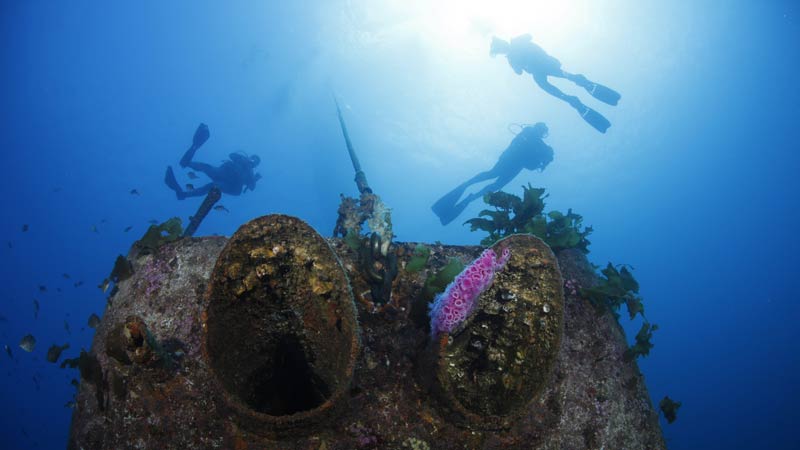 Canterbury Wreck & Reef Dive