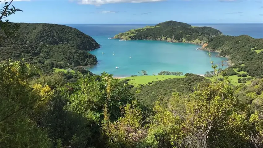 whangamumu harbour 850x479