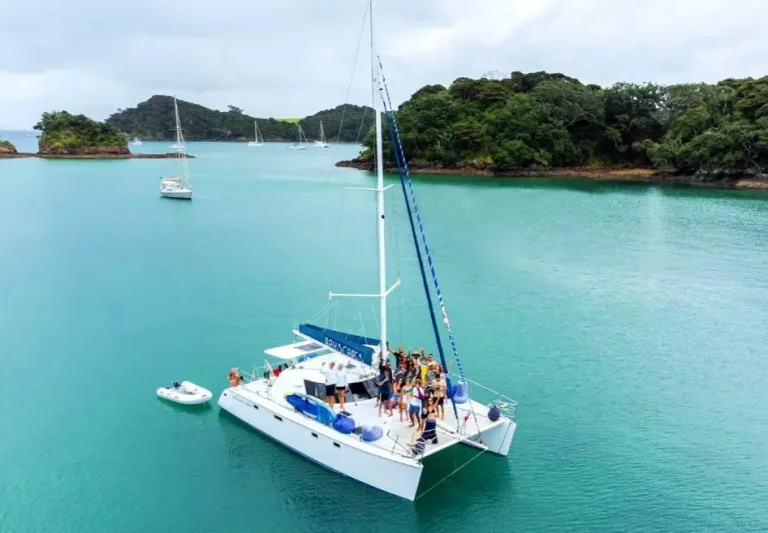 Bayscapes private yacht charter 768x533