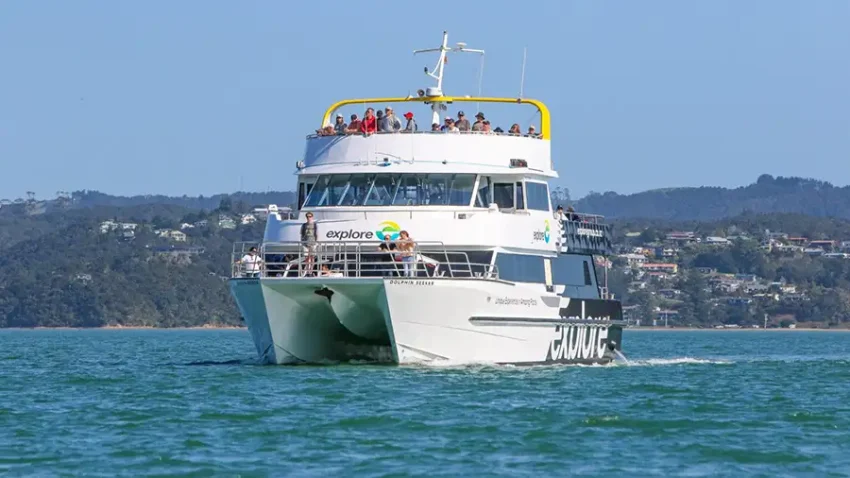 Dolphin Eco Cruise 2 850x478