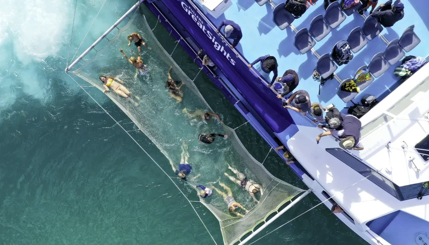 Fullers Day in the Bay Cruise 4 850x486