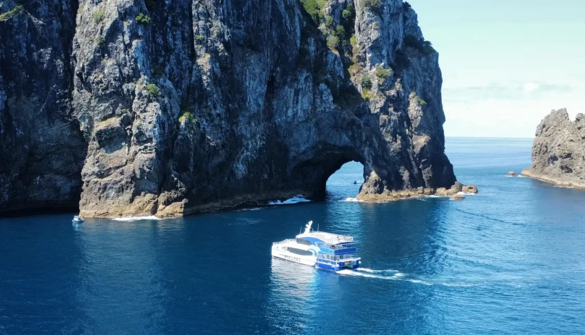 Fullers Dolphin Cruise to the Hole in the Rock 2 850x486