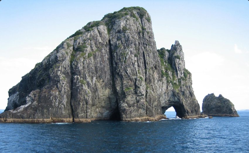 Motukokako Pic 850x523