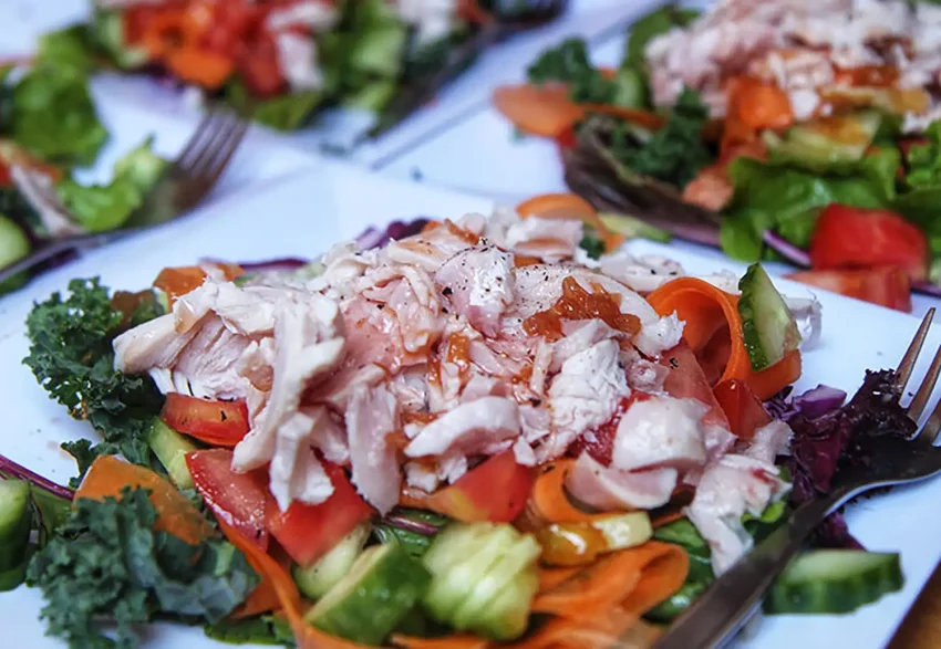 Vigilant Charters 2 1 850x587